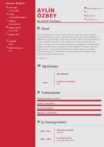 Güzellik Uzmanı Cv Örnekleri  cv indir